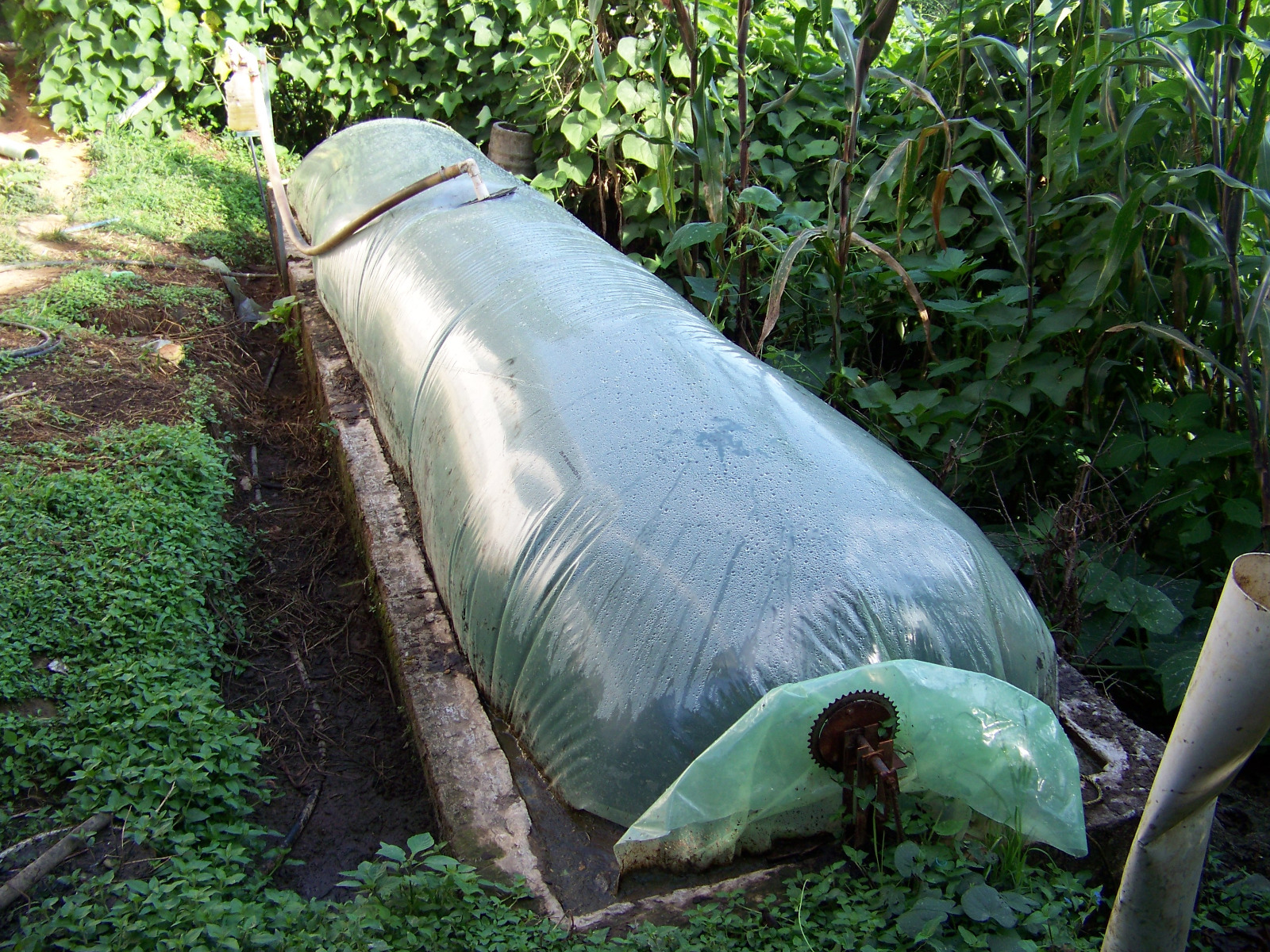 12 biodigestores